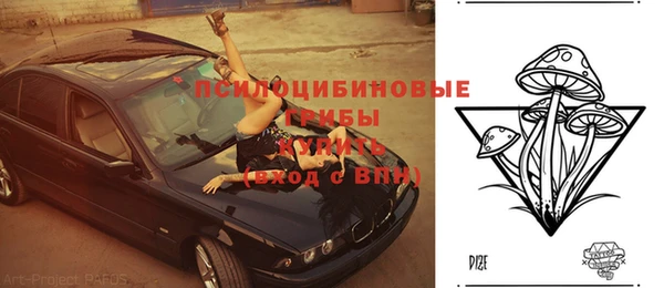 ГАЛЛЮЦИНОГЕННЫЕ ГРИБЫ Алексин
