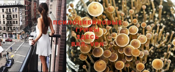 ГАЛЛЮЦИНОГЕННЫЕ ГРИБЫ Алексин