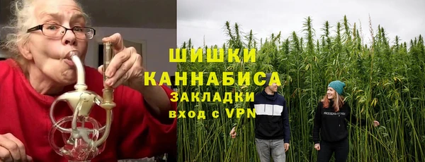 ГАЛЛЮЦИНОГЕННЫЕ ГРИБЫ Алексин