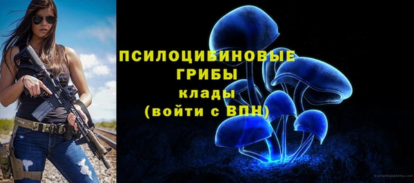 ГАЛЛЮЦИНОГЕННЫЕ ГРИБЫ Алексин