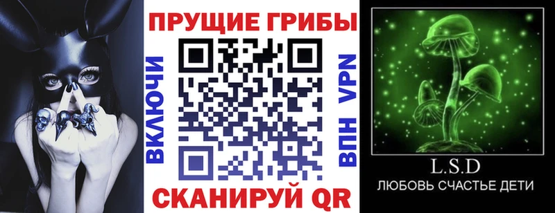 Галлюциногенные грибы мухоморы  Санкт-Петербург 