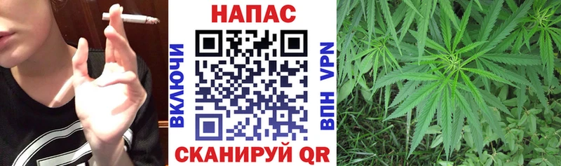 Марихуана Ganja  где продают   omg зеркало  Санкт-Петербург 